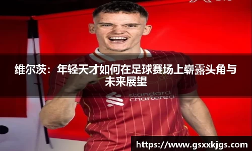 爱游戏ayx